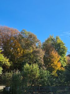 Mențiune, „Excursie în natură"