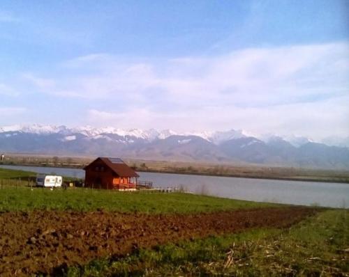 Roberta Nicoară VII Oltul si muntii
